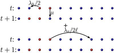 Local vs. Long-Range Infection in Unidimensional Epidemics